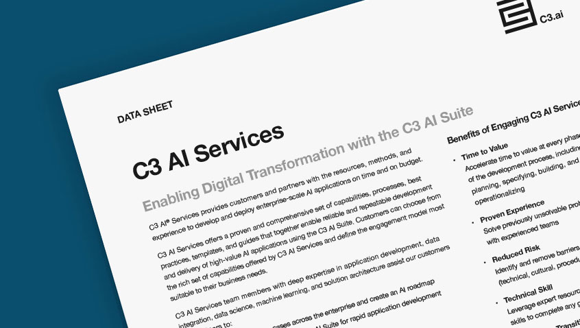 C3 AI Services